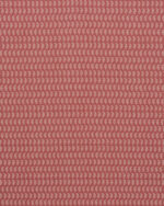 Vintage Paisley - Red Fabric Swatch - Image 2