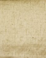 Sand Texture - Gold Roman Shades - Image 2