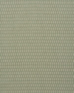 Vintage Paisley - Soft Green Roman Shades - Image 3